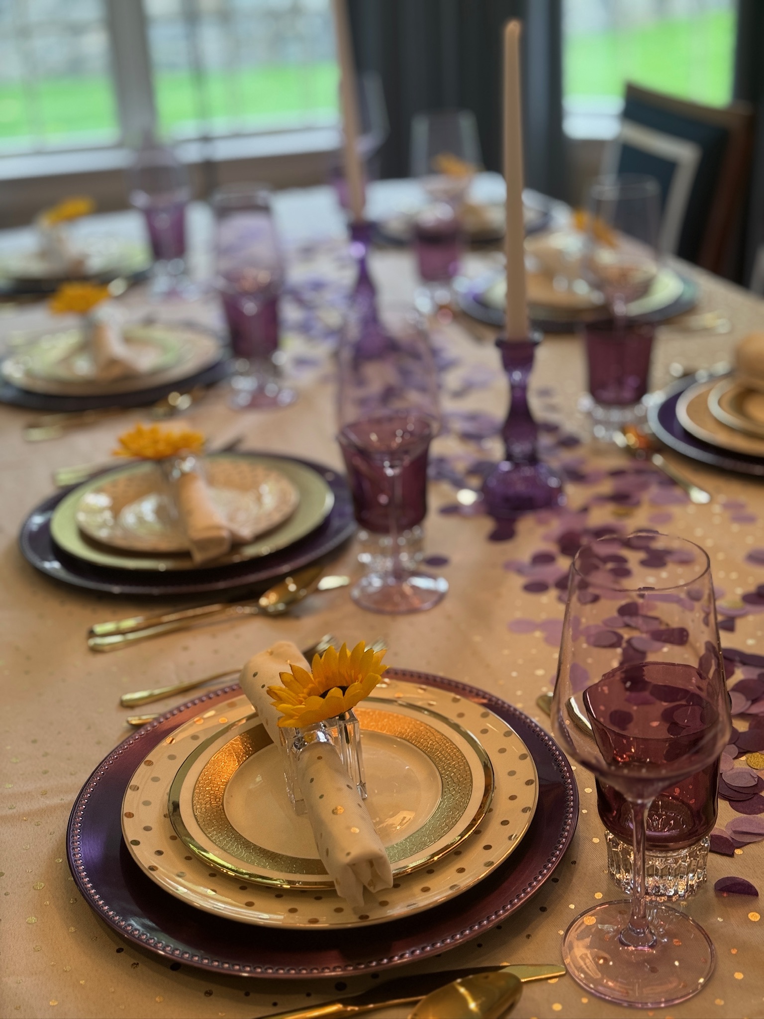 Alexandra's Playground